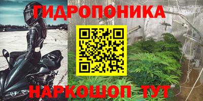 шишки Кумертау