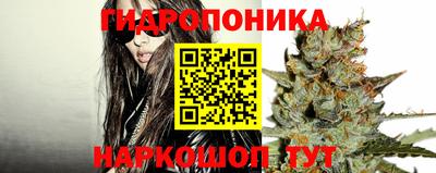 молекула духа Кулебаки