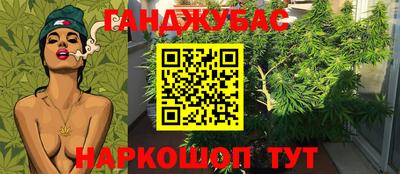 стаф Кунгур