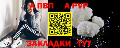 стаф Кунгур