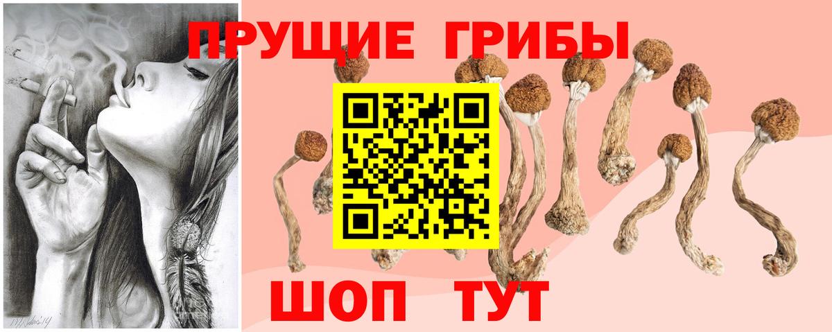 Псилоцибиновые грибы прущие грибы  Галлюциногенные грибы Cubensis  Вход с VPN  наркота  Камышин 